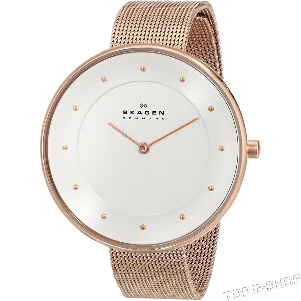 Наручные часы Skagen skw2865