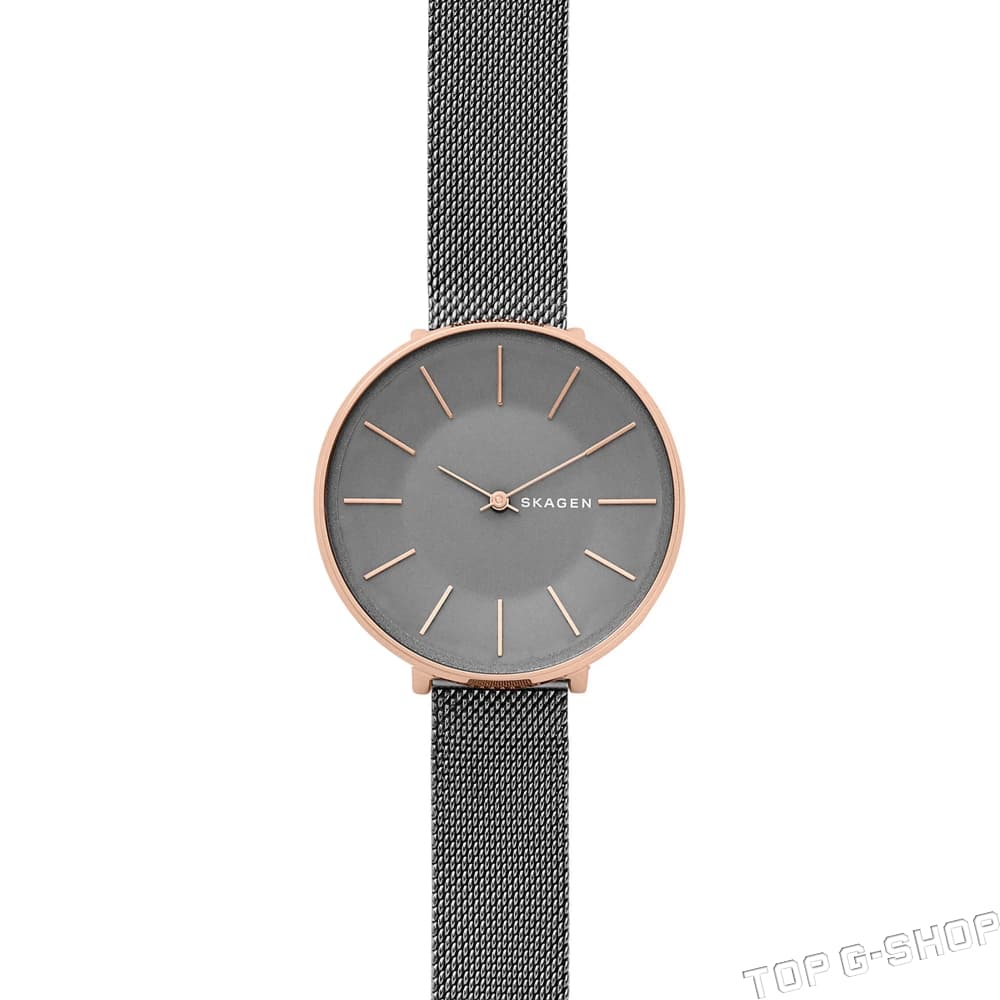 Наручные часы Skagen skw2552